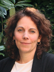 POMMIER-HONNEUR